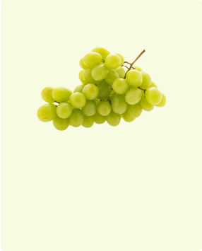 Fresh grapes